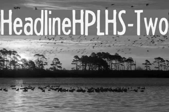 HeadlineHPLHS-Two Font examples
