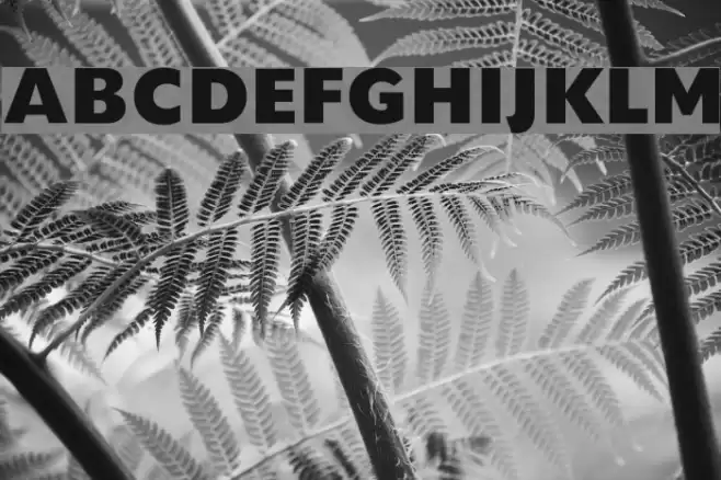 HeadlineNEWS Font examples