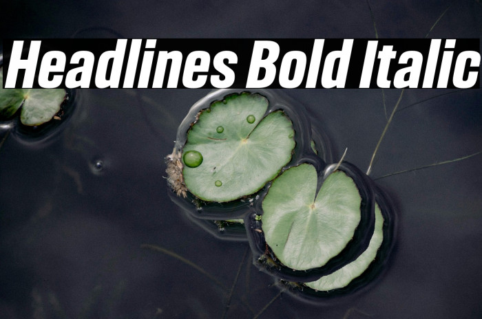 Headlines Bold Italic Example 2