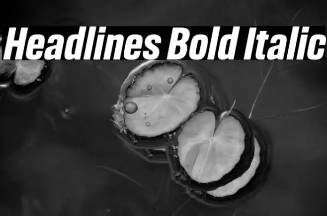 Headlines Bold Italic Font examples