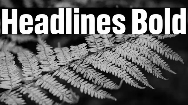 Headlines Bold Font examples
