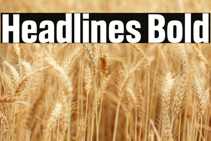 Headlines Bold Example 3