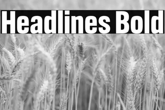 Headlines Bold Font examples