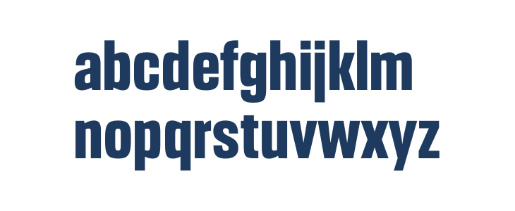 Headlines Bold Lowercase