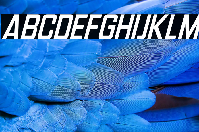 Headlines Deluxe Italic Example 1