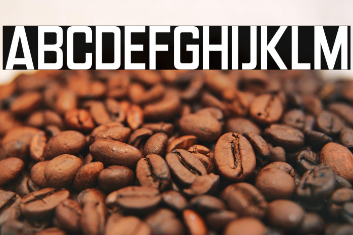 Headlines Deluxe Example 1