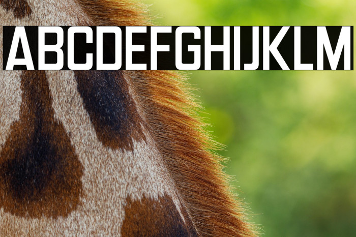 Headlines Deluxe Example 2