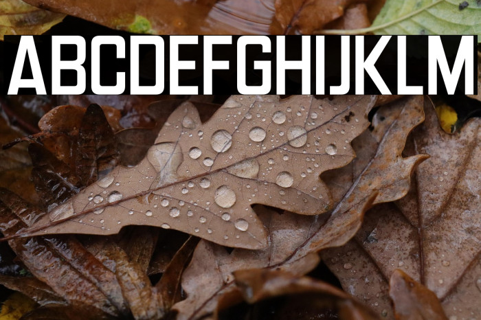 Headlines Deluxe Example 3