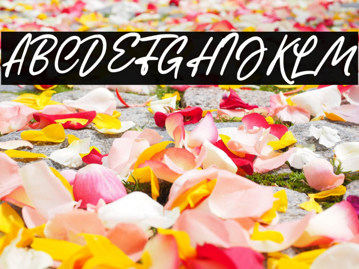 HeadmistaScript Example 1