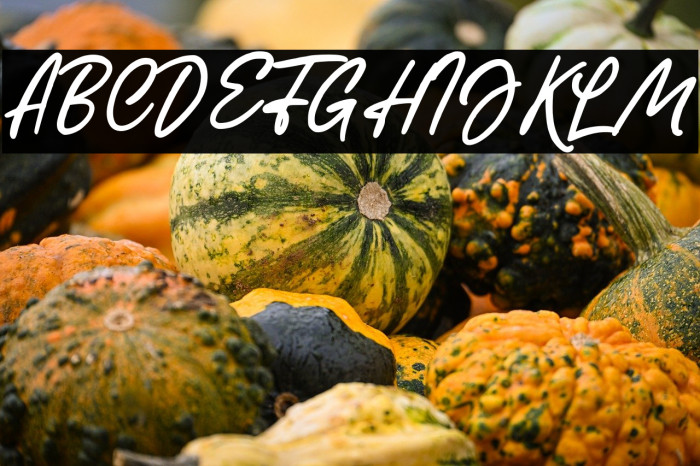 HeadmistaScript Example 3