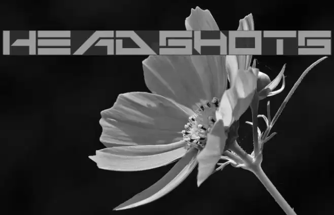 Headshots Font examples