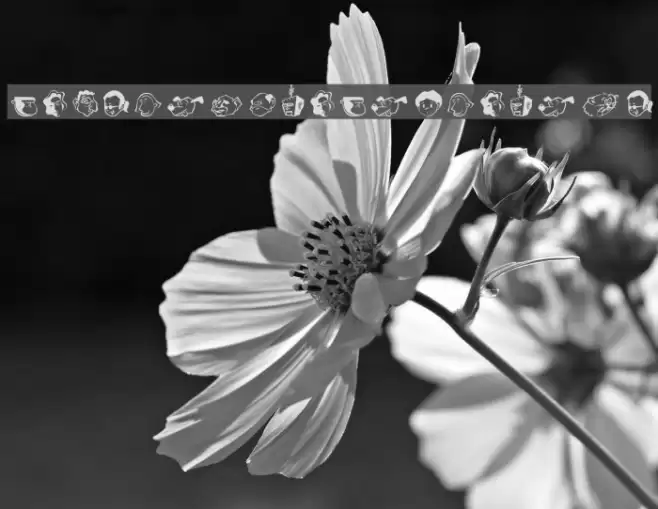 HeadsoftheHousehold Font examples