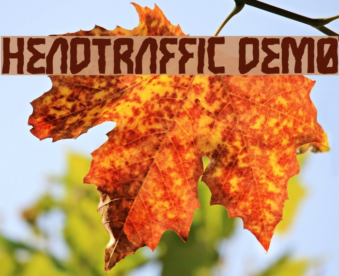 Headtraffic DEMO Font examples