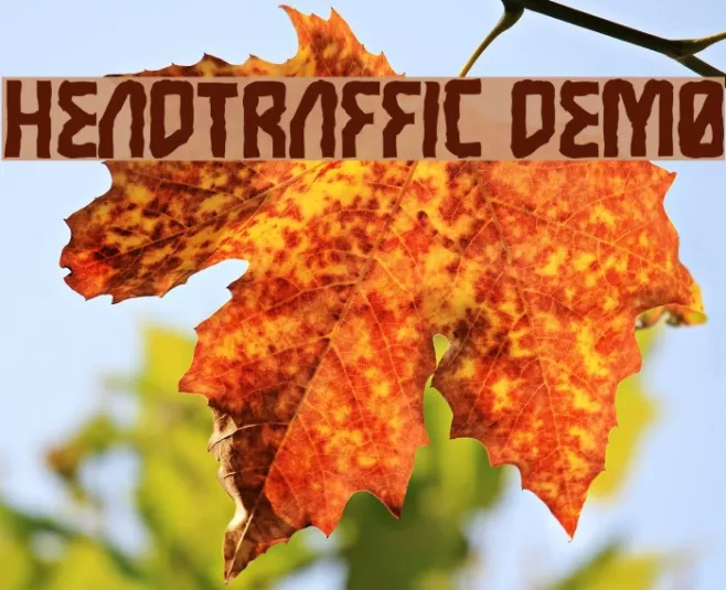 Headtraffic DEMO Example 1