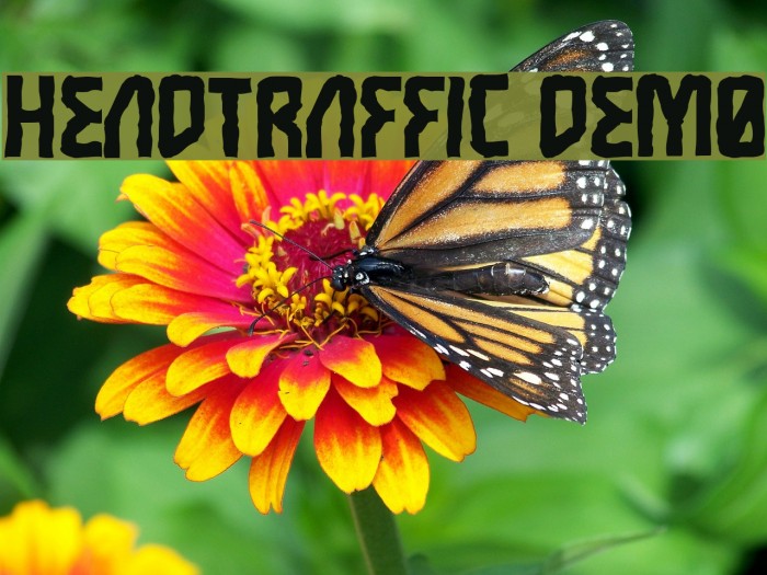 Headtraffic DEMO Font examples