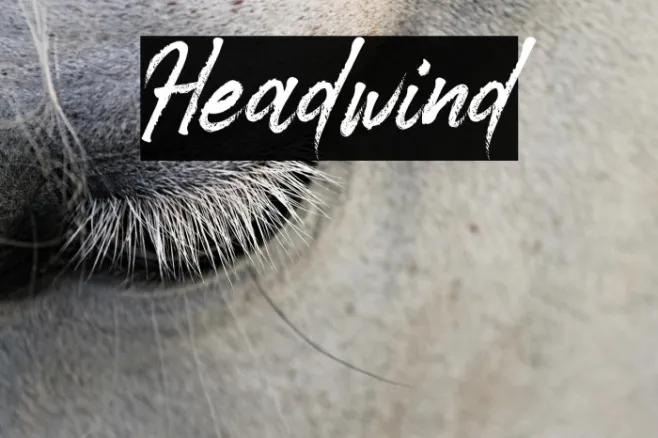 Headwind Example 3