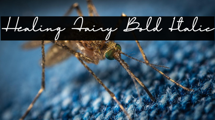 Healing Fairy Bold Italic Example 2