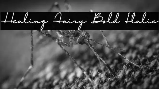 Healing Fairy Bold Italic Font examples