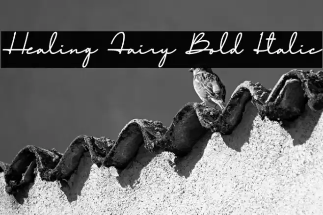 Healing Fairy Bold Italic Font examples