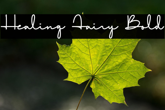 Healing Fairy Bold Example 1
