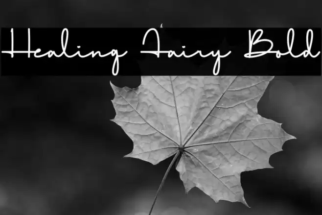 Healing Fairy Bold Font examples