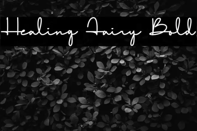 Healing Fairy Bold Font examples