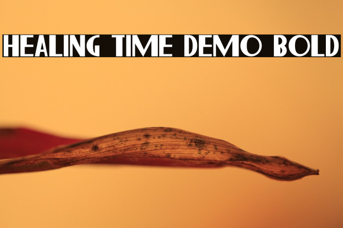 Healing Time Demo Bold Example 2