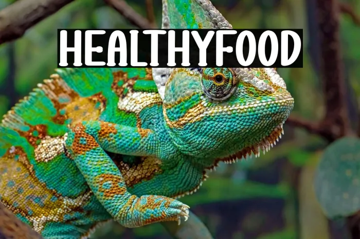 Healthy Food Example 1