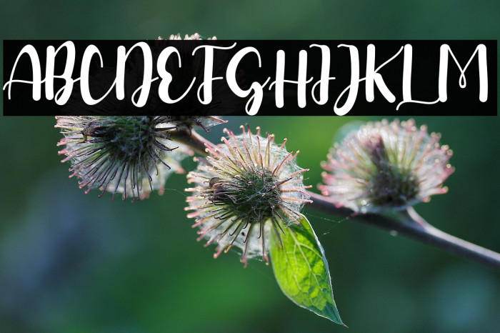 Heart Affair Example 2