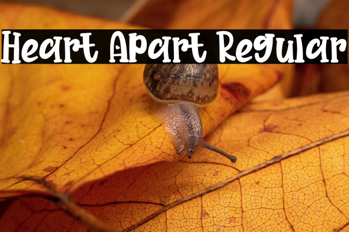 Heart Apart Regular Example 3