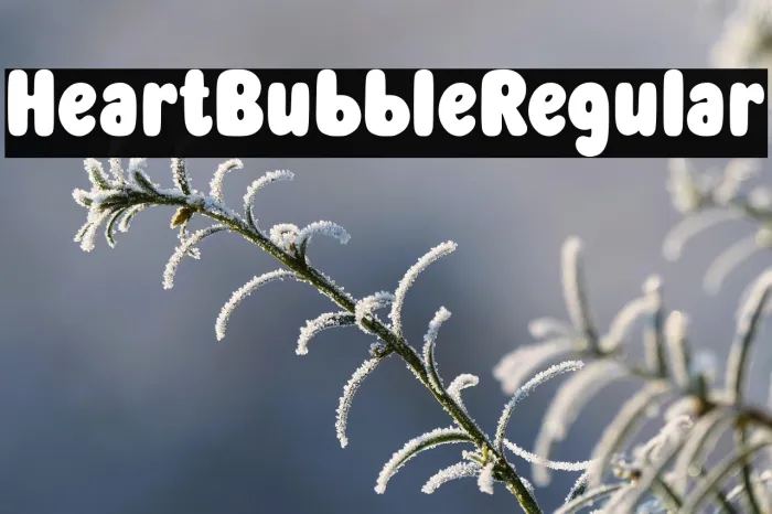 Heart Bubble Regular Example 1