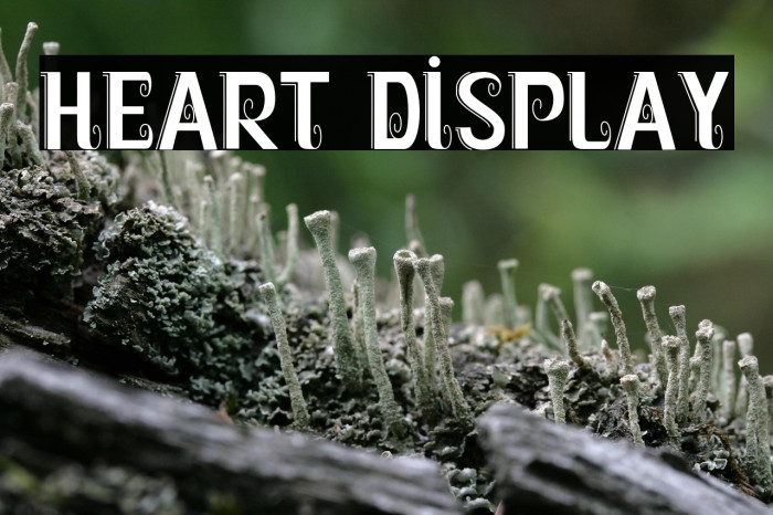Heart Display Example 2