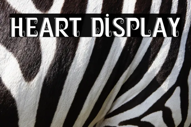 Heart Display Example 3