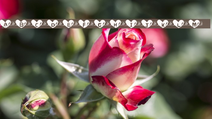Heart Font Font examples