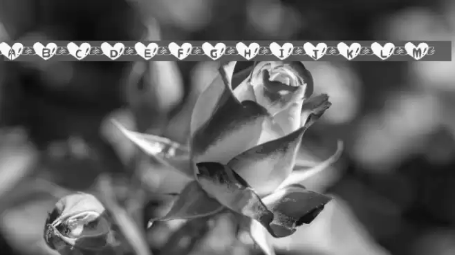 Heart Font Font examples