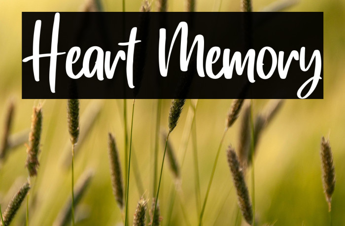 Heart Memory Example 2