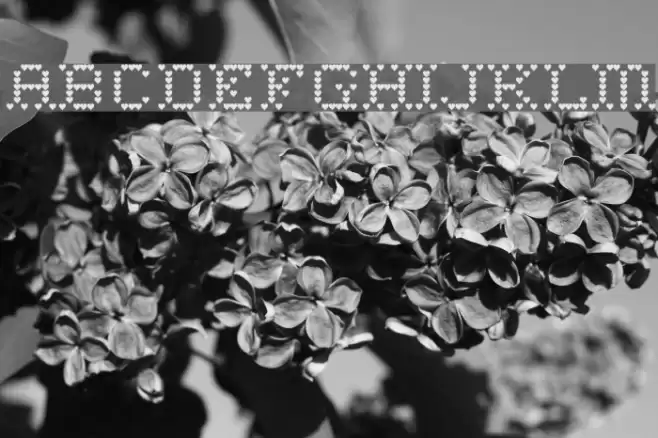 Heart Sweet Heart Font examples