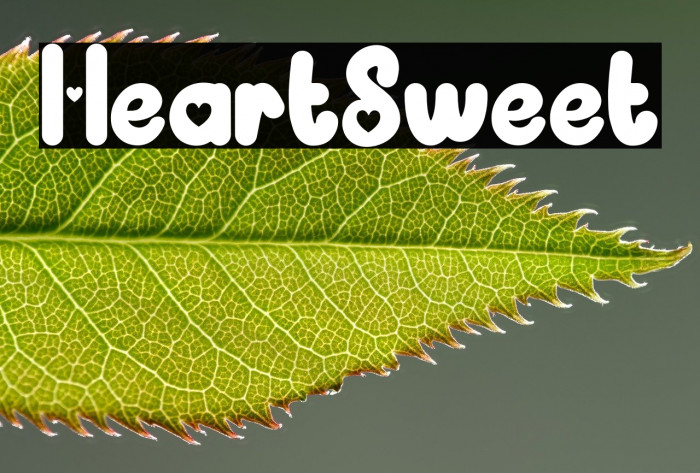 Heart Sweet Example 3