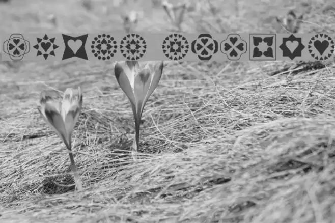 Heart Things Font examples