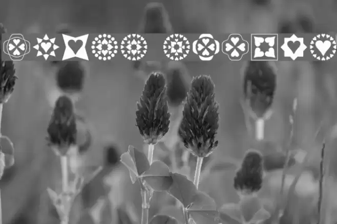 Heart Things Font examples