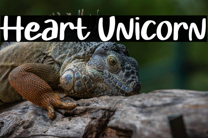 Heart Unicorn Example 1