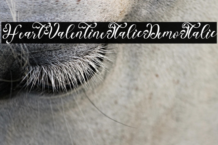 Heart Valentine Italic Demo Italic Example 2