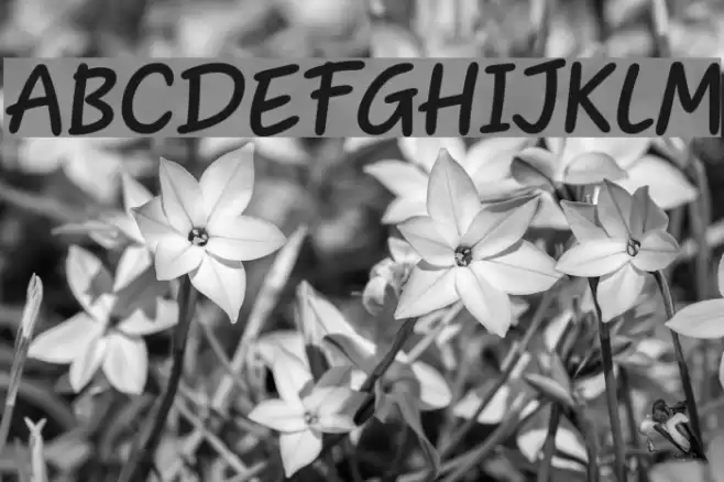 Heart Warming Font examples