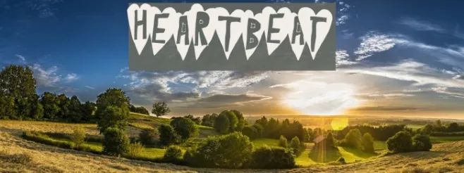 HeartBeat Example 2