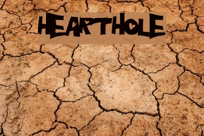 HeartHole Example 1