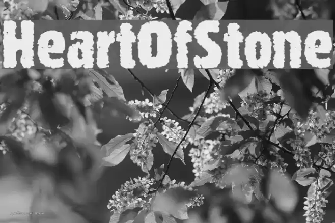 HeartOfStone Font examples