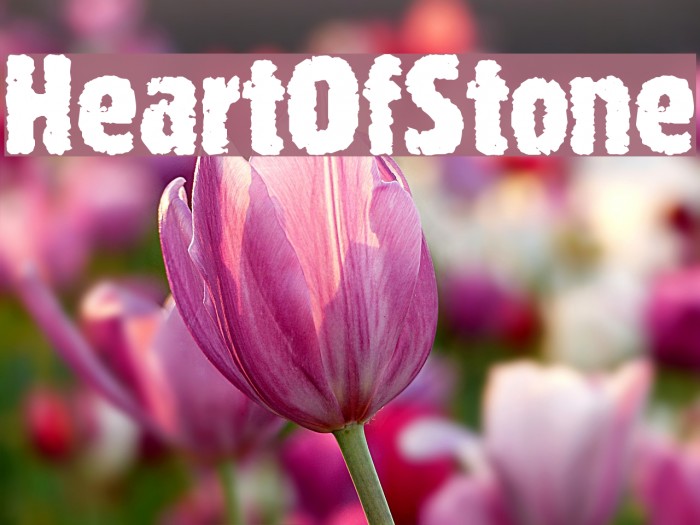 HeartOfStone Шрифта examples
