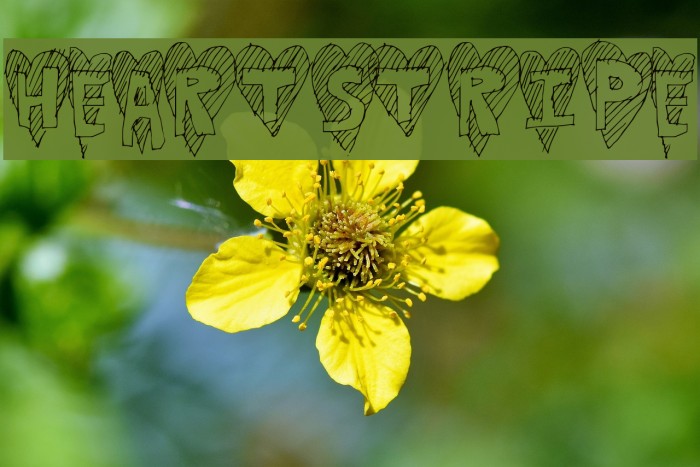 HeartStripe Font examples