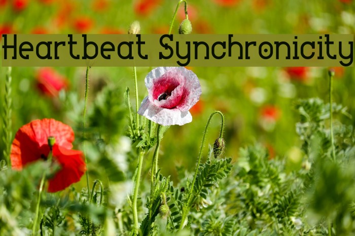 Heartbeat Synchronicity Font examples