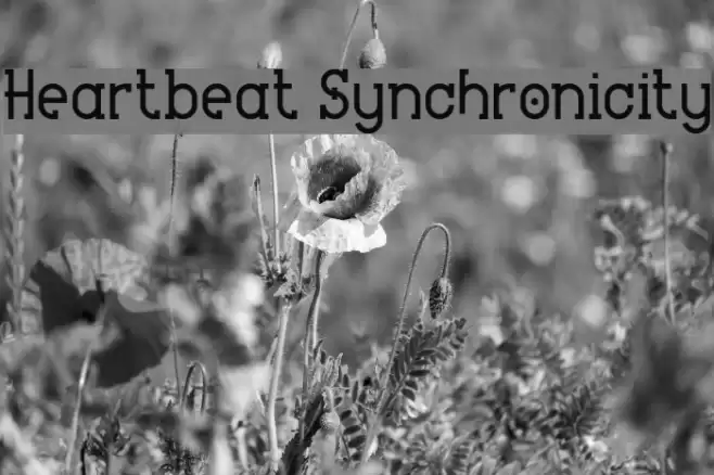 Heartbeat Synchronicity Font examples